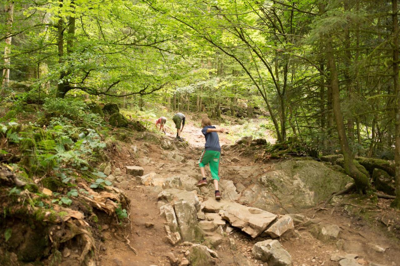 Europe Tents Camping Domaine Des Messires Herpelmont Экстерьер фото