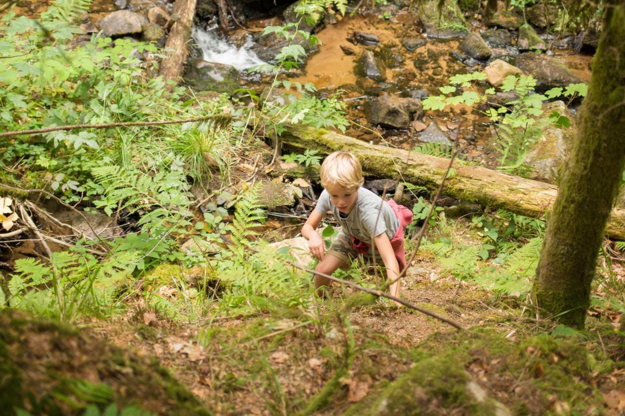 Europe Tents Camping Domaine Des Messires Herpelmont Экстерьер фото